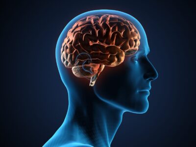 höchst gemessene IQ