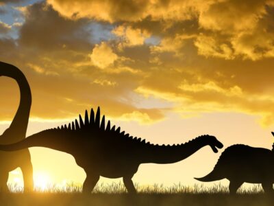 Alle Filme aus der Reihe Jurassic Park und Jurassic World